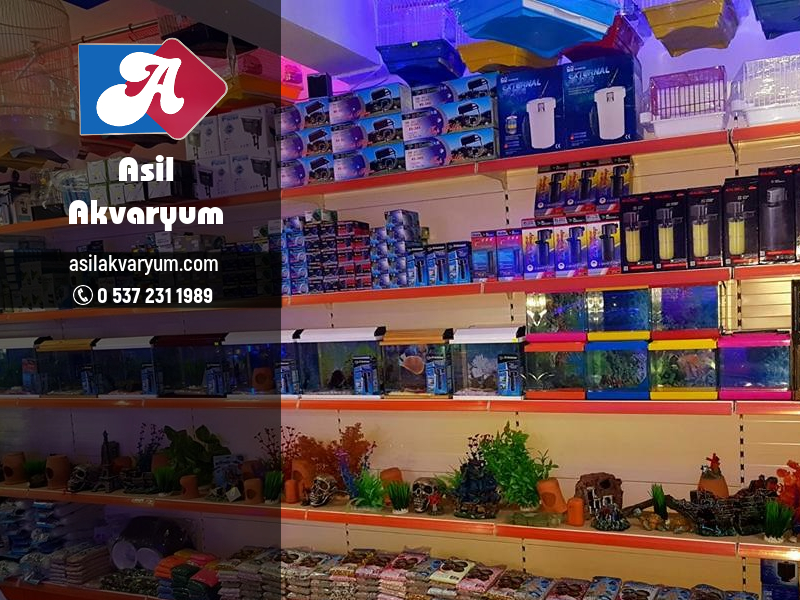 Çerkezköy Petshop